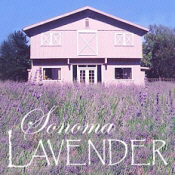Sonoma Lavender